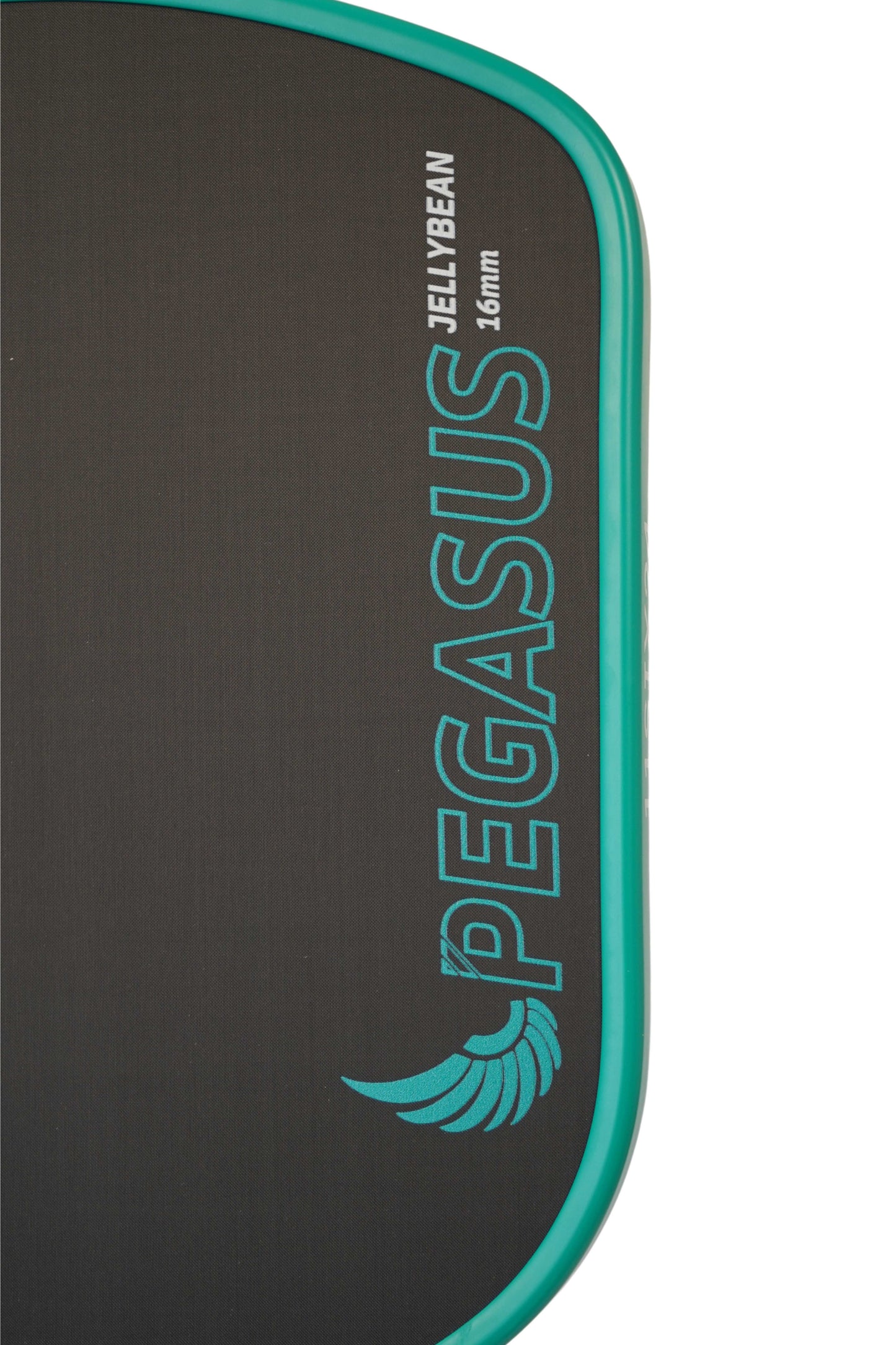 Best Budget Paddle 2025 Pegasus Jelly Bean