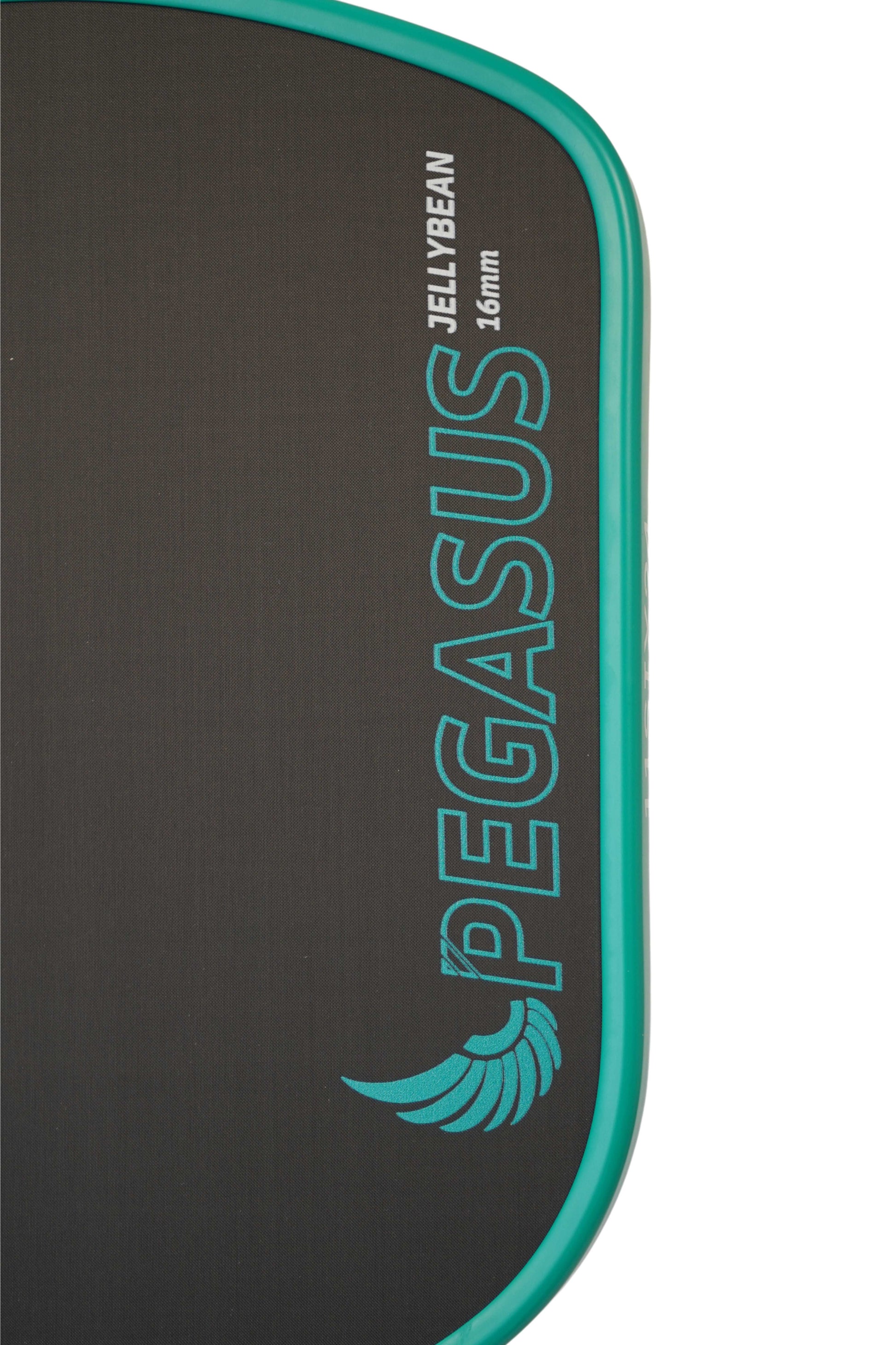 Best Budget Paddle 2025 Pegasus Jelly Bean