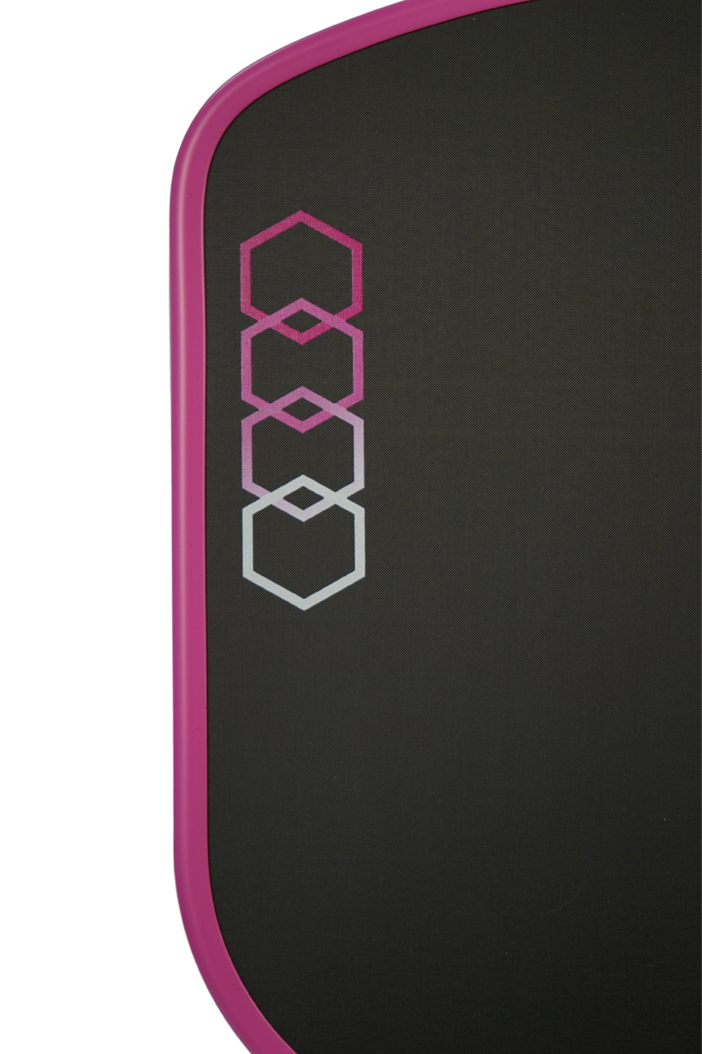 Best Budget Paddle 2025 Pegasus Jelly Bean