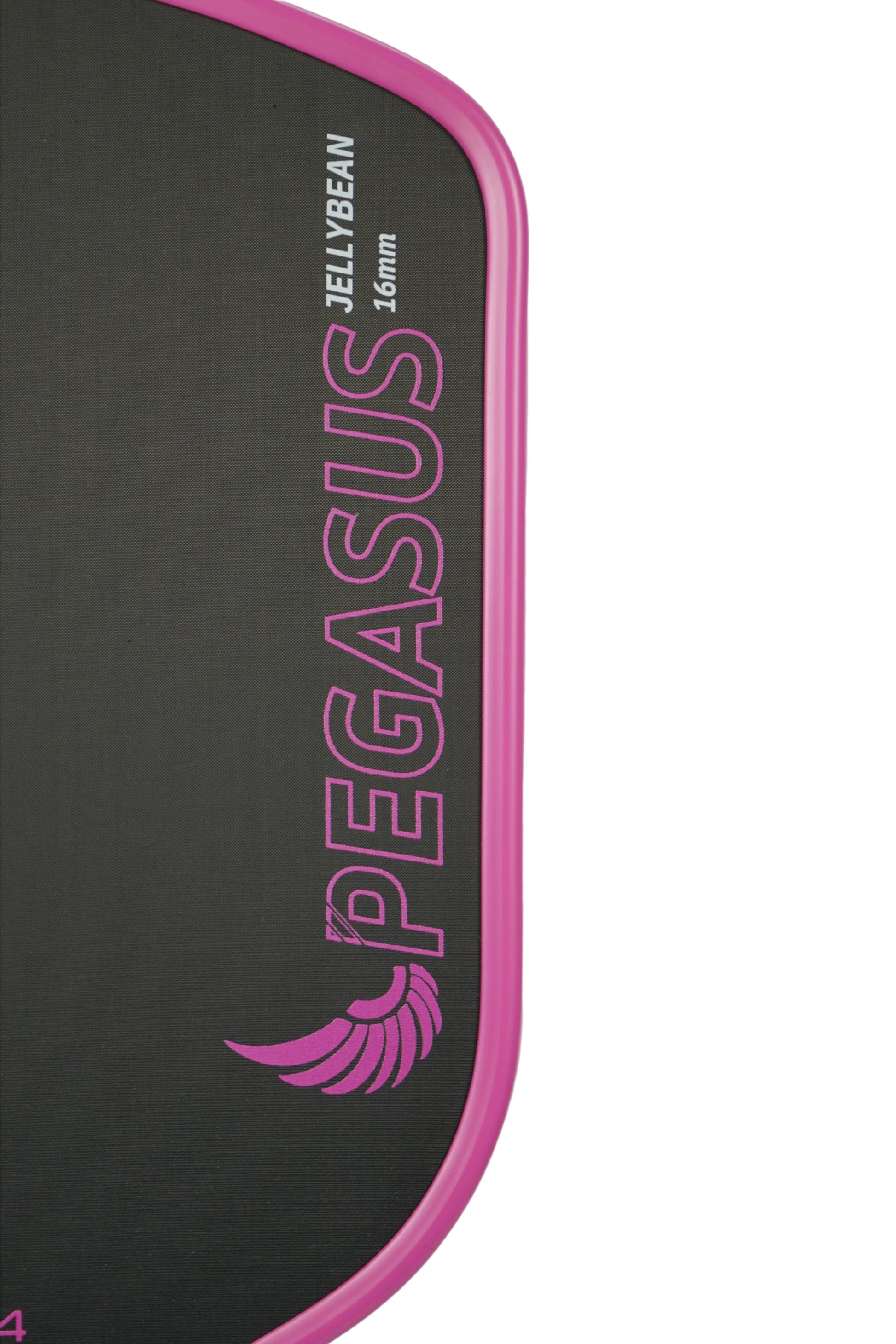 Best Budget Paddle 2025 Pegasus Jelly Bean